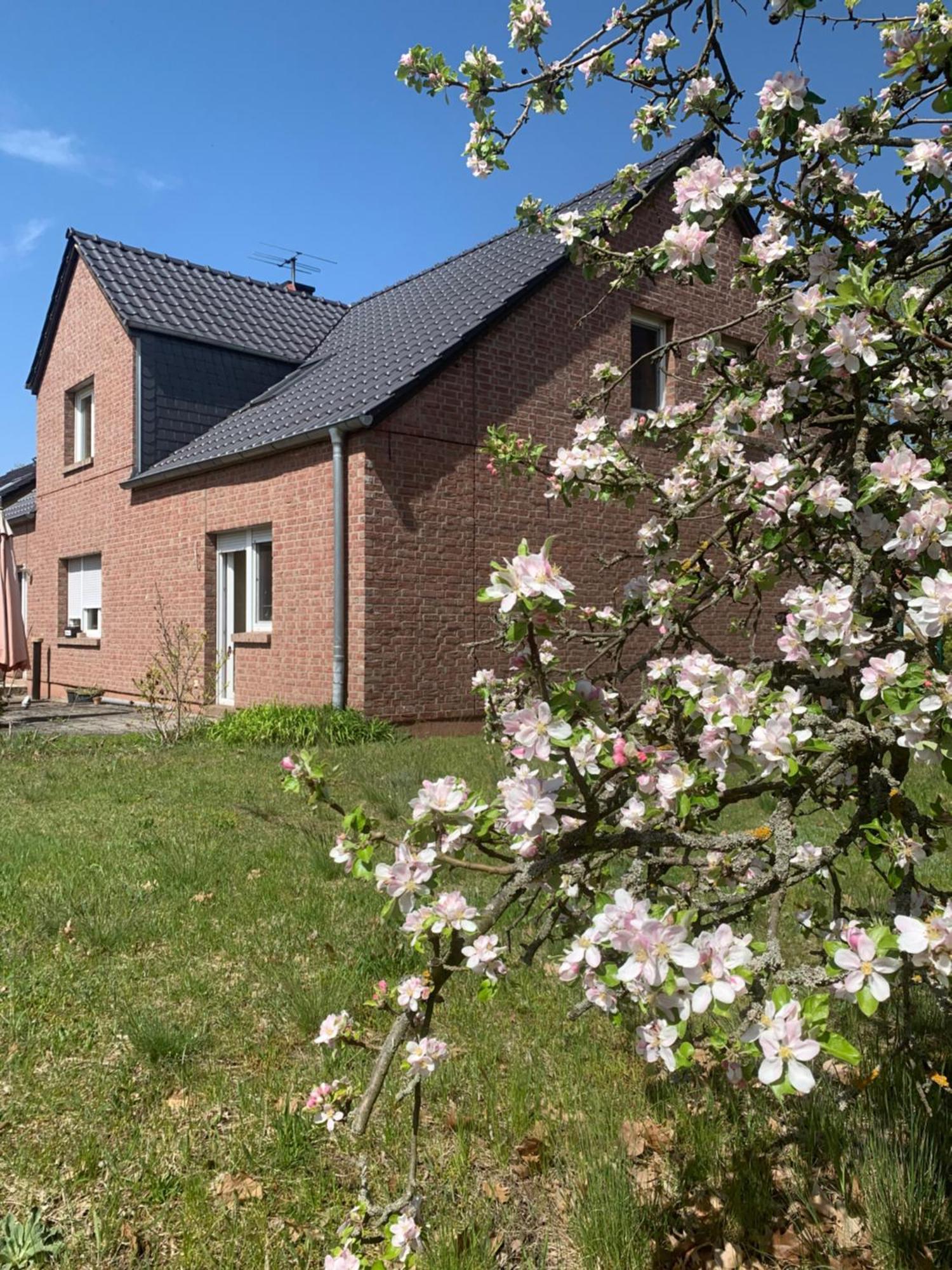 Country house Sonniges Haus *